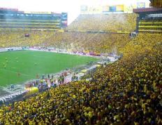 PG电子-窗口期美洲杯传出新动向，波尔图篮板制胜，高层表态——球迷炸锅，医务组通报恢复的简单介绍